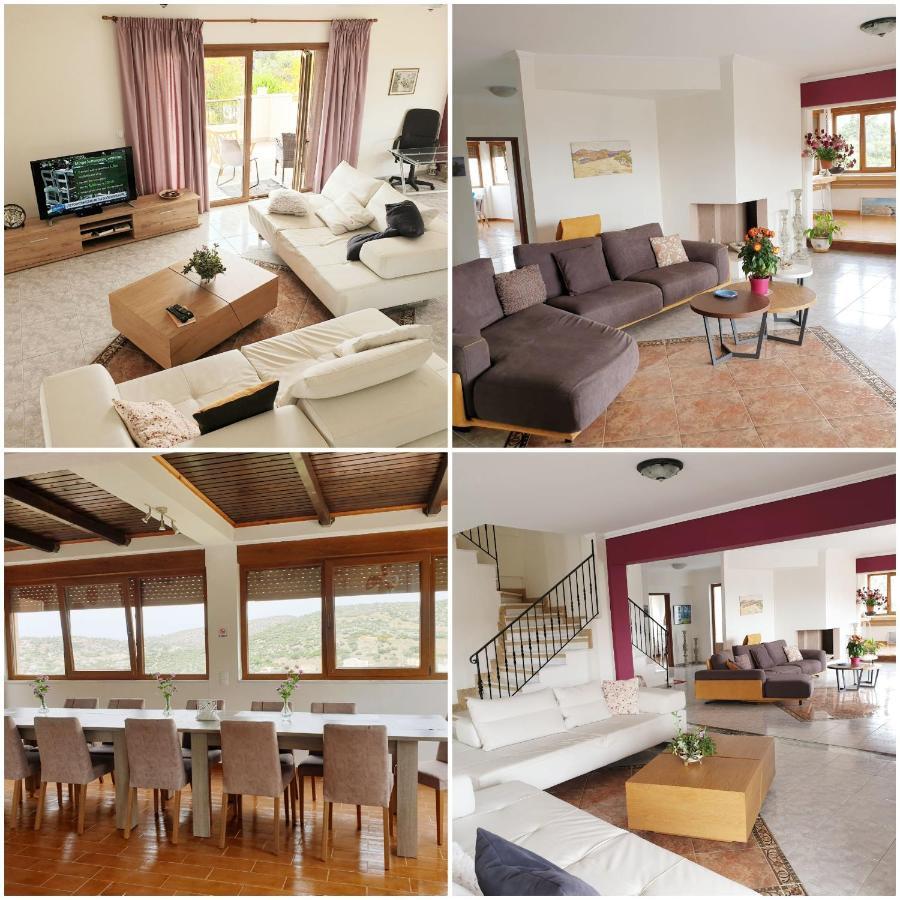 Villa Apex With Seaview Lagonisi Exterior photo