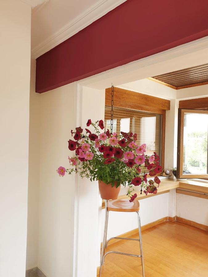 Villa Apex With Seaview Lagonisi Exterior photo